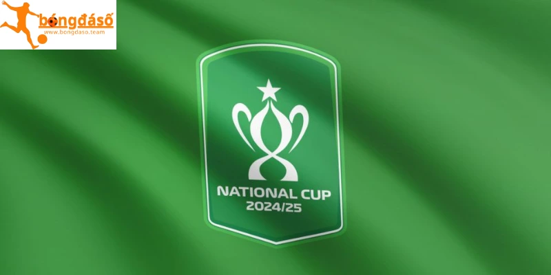 Giải bóng đá Cúp quốc gia Việt Nam là gì?