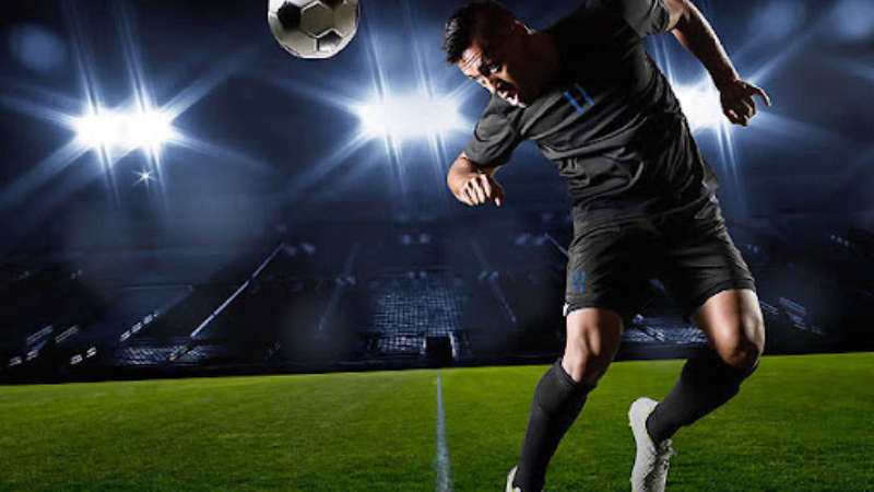 Kinh nghiệm từ các trận đấu của đội cửa trên